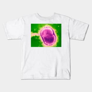 Neisseria meningitidis bacterium (B220/0582) Kids T-Shirt